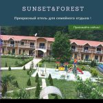 SunSet Forest
