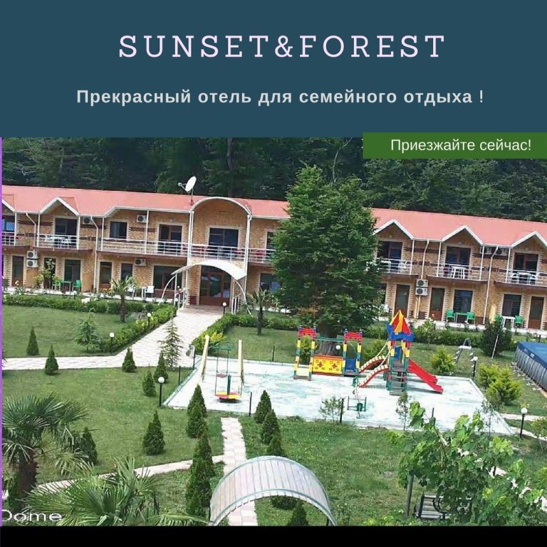 SunSet Forest