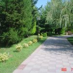 Atlant