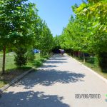 Atlant