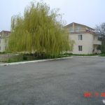 Green Ville
