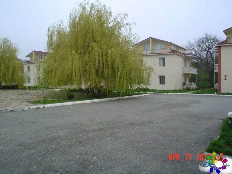 Green Ville