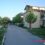 Green Ville