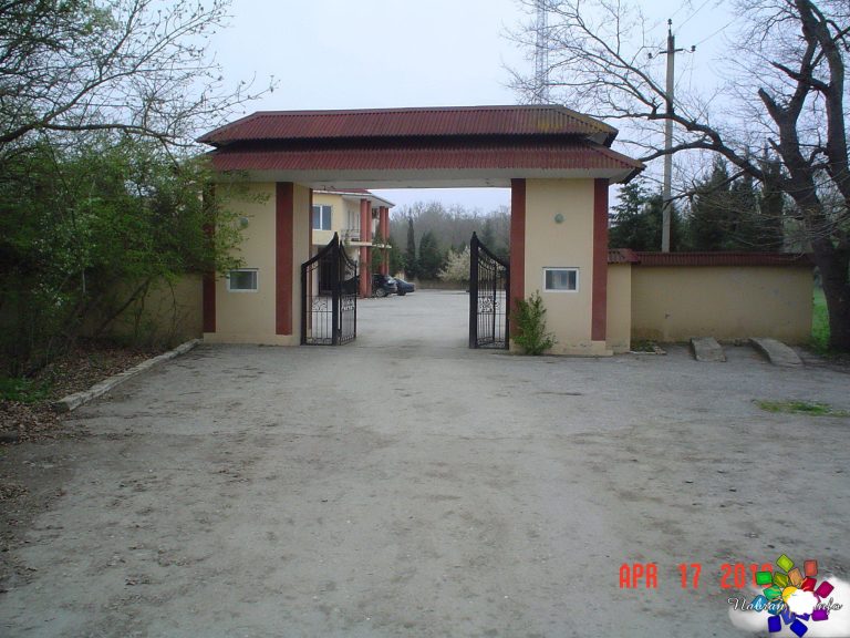 Green Ville
