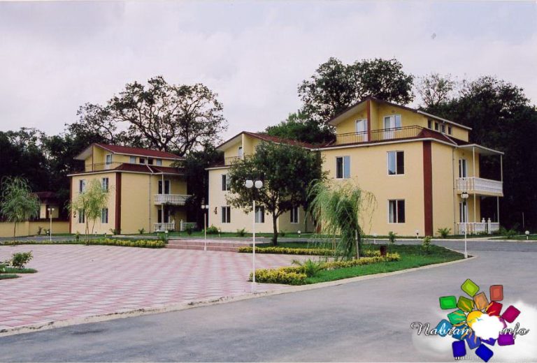Green Ville