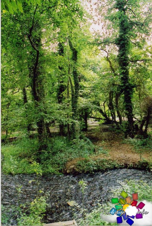 Green Ville