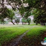 Green Ville