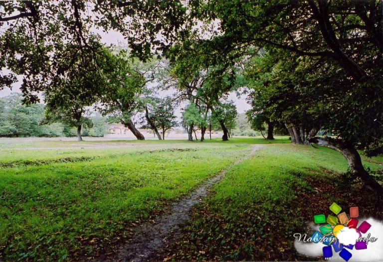 Green Ville