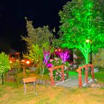 Kardinal