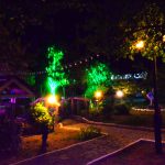Kardinal