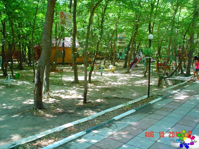 Lotos