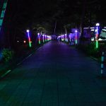 Lotos