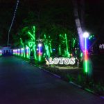 Lotos