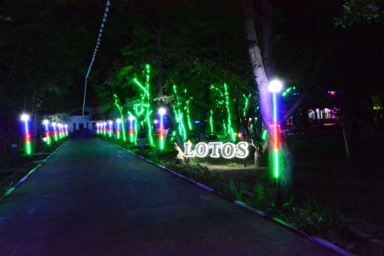 Lotos