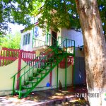 SunSet Forest