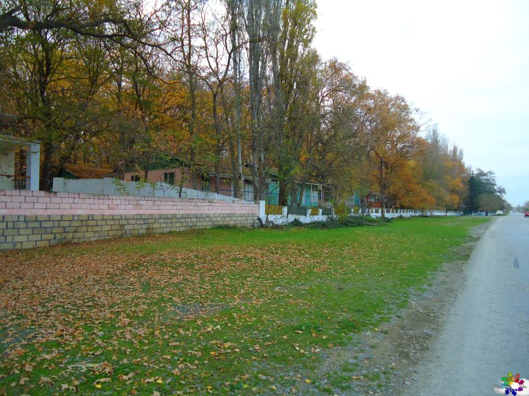Dənizçi