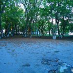 Dostluq