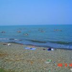 Dostluq