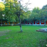 Dostluq