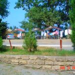 Orman