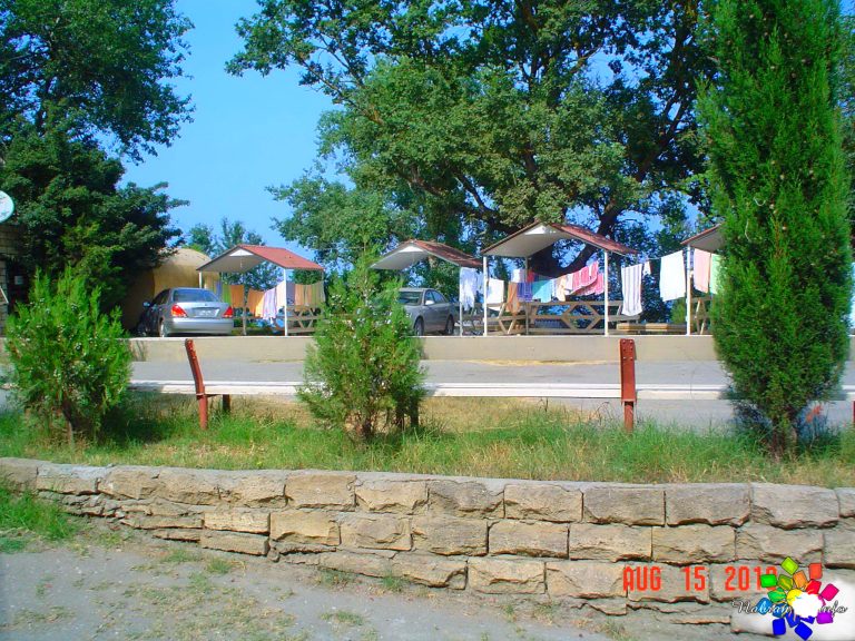 Orman