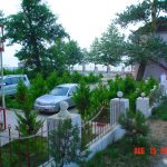 Orman