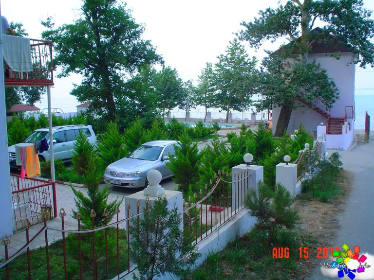 Orman