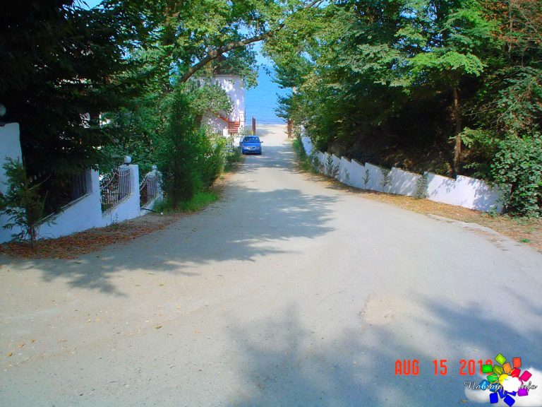 Orman