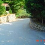 Orman