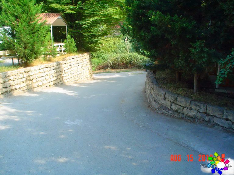 Orman