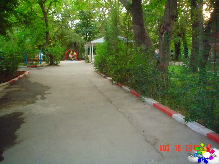 Orman