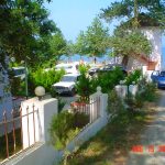 Orman