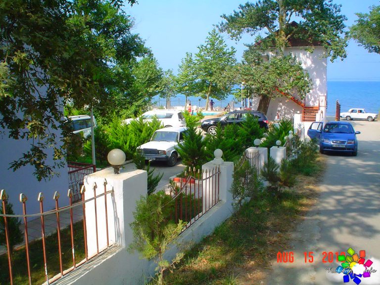 Orman