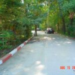 Orman