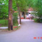 Orman