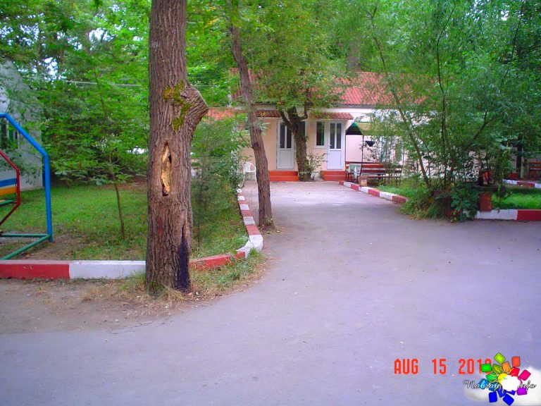 Orman