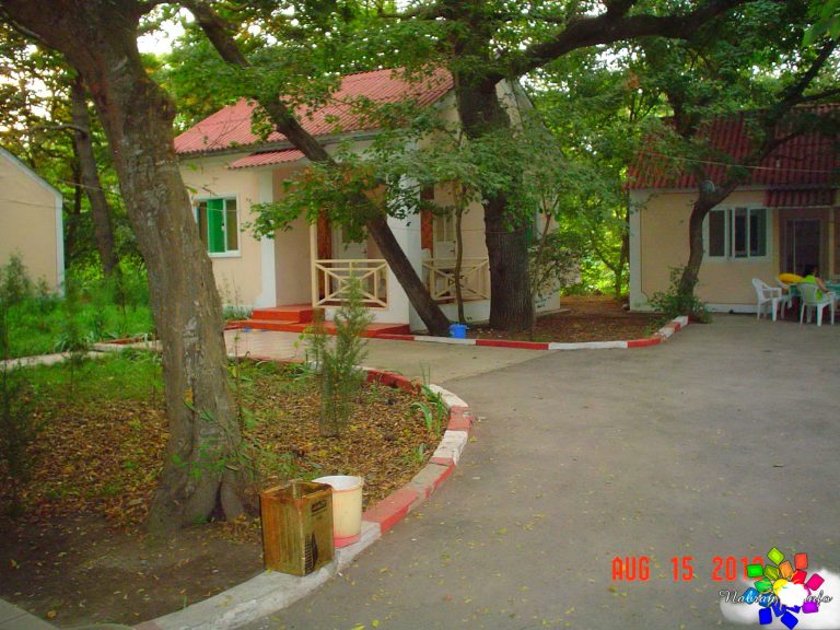 Orman