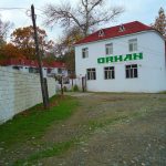 Orman