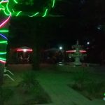 Qoşa çinar-s