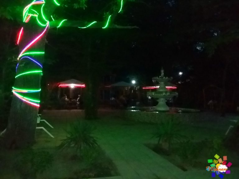 Qoşa çinar-s