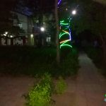 Qoşa çinar-s