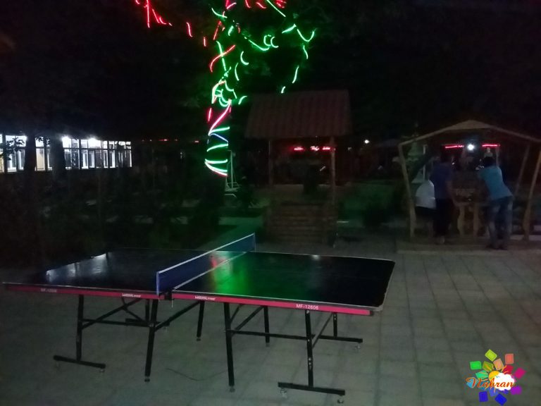 Qoşa çinar-s