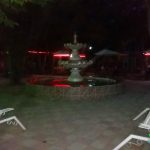 Qoşa çinar-s