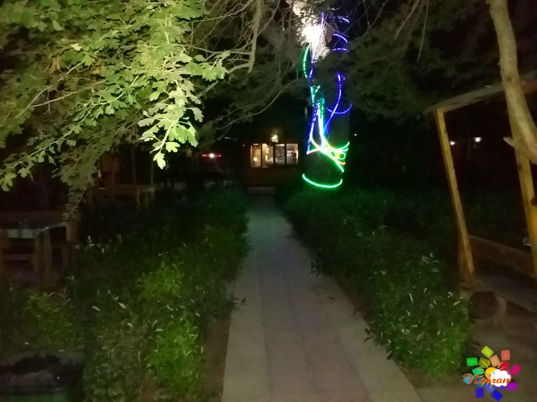 Qoşa çinar-s