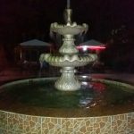 Qoşa çinar-s