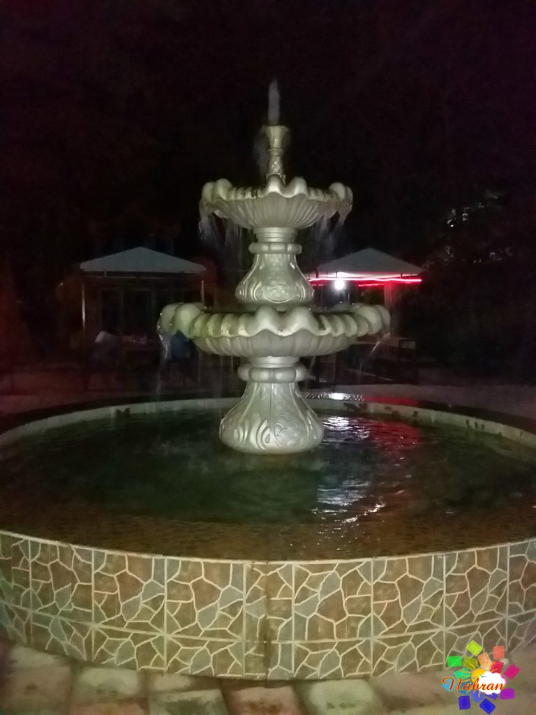 Qoşa çinar-s