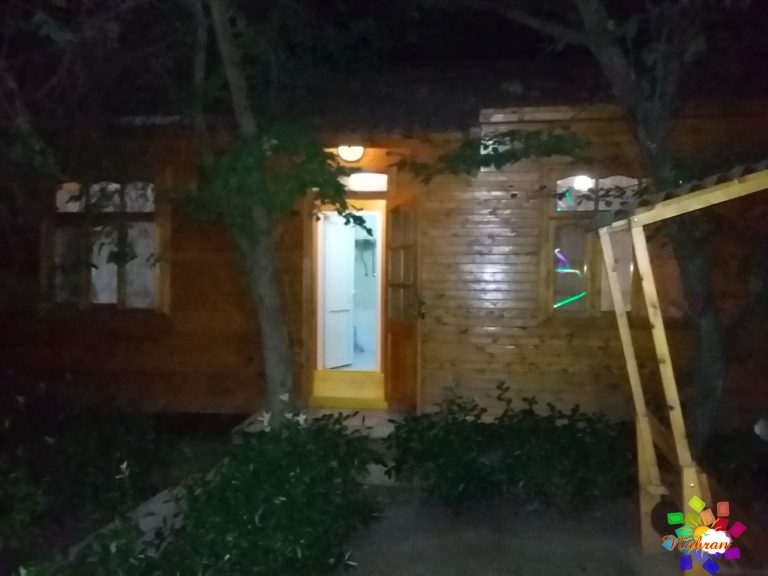 Qoşa çinar-s