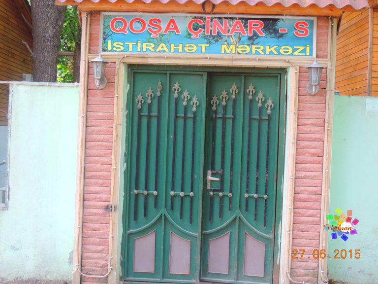 Qoşa çinar-s