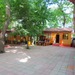 Qoşa çinar-s