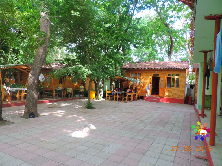 Qoşa çinar-s